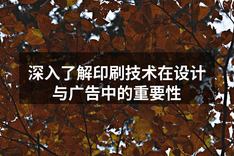 现代印刷技术的应用示例