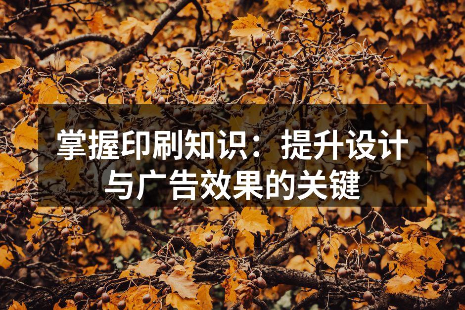 印刷技术展示